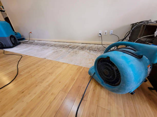 Professional Structural Drying technician working in Crosby, MN